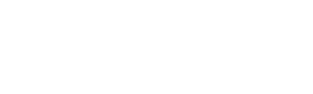 Beauty Fair