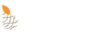 Hair Summit